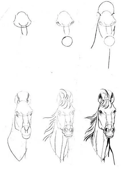 Dibujos a lapiz de caballos paso a paso - Imagui