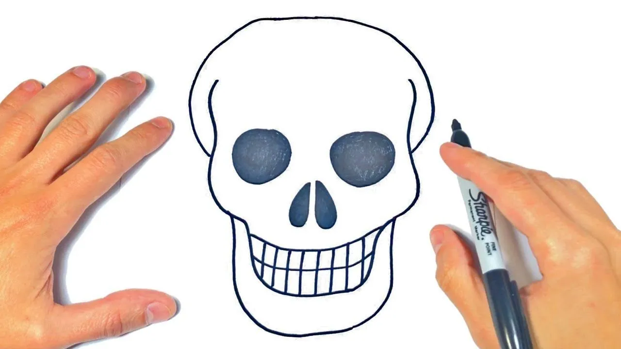 Cómo dibujar un Calavera Paso a Paso | Dibujo de Calavera Humana - YouTube