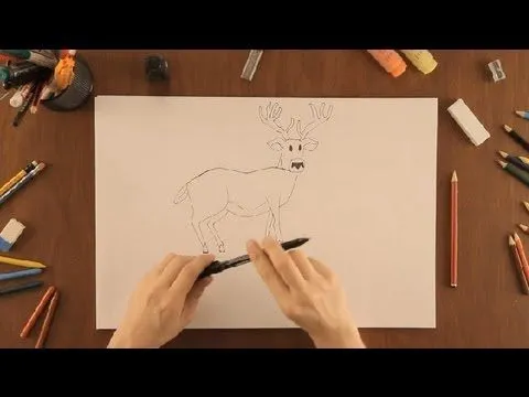 Cómo dibujar un ciervo : Dibujos de la Naturaleza - YouTube
