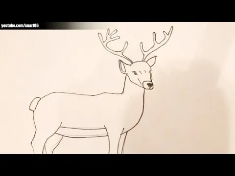 Como dibujar un ciervo - YouTube