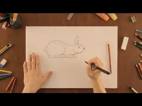 Cómo dibujar un conejo : Dibujos de la Naturaleza - YouTube