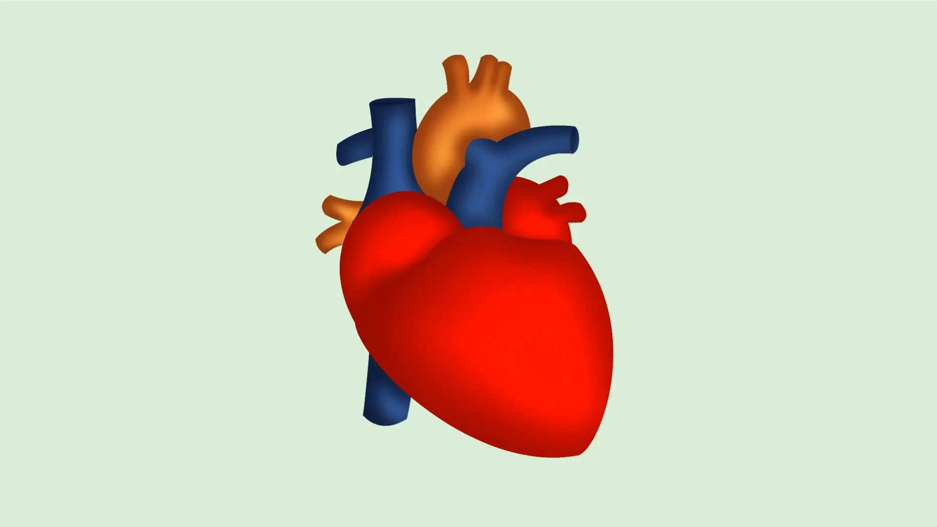 Cómo dibujar un corazón humano: 5 pasos (con fotos)