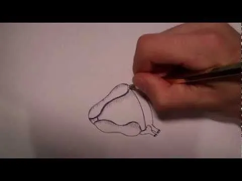 Como dibujar un corazon (Tutorial paso a paso) HD - YouTube