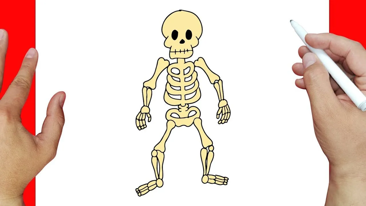 como dibujar un esqueleto paso a paso | Dibujos fáciles - YouTube