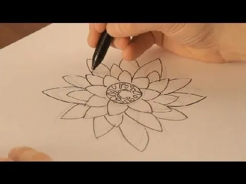 Cómo dibujar una flor de loto