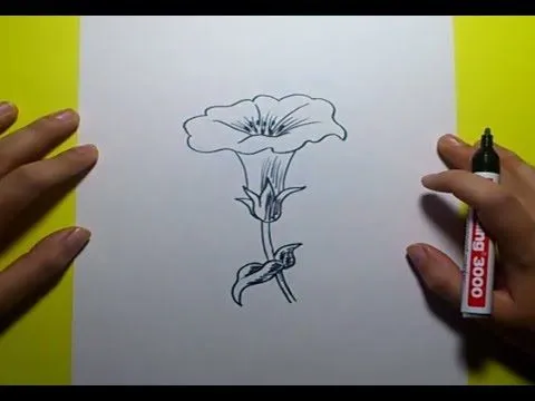 Como dibujar una flor paso a paso 8 | How to draw a flower 8 - YouTube