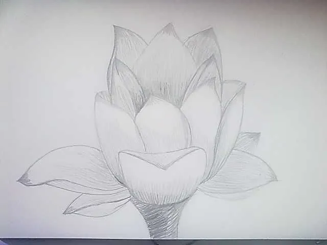 Flor de loto por EMP-Ray | Dibujando