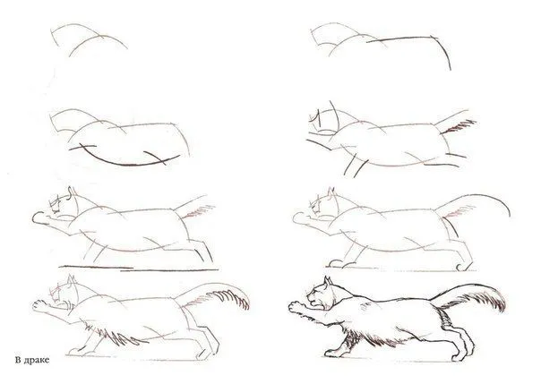 Como dibujar un gato realista - Imagui