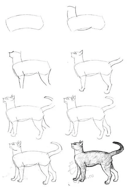 Cómo dibujar un gato a lápiz, con bocetos paso a paso