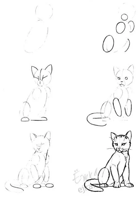 Cómo dibujar un gato a lápiz, con bocetos paso a paso