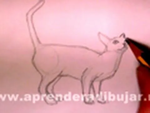 Cómo dibujar un gato a lápiz. - Dibujos de animales - YouTube