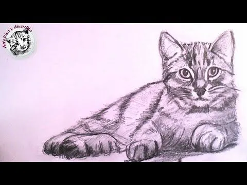 Como Dibujar un Gato Realista a Lapiz Paso a Paso - YouTube