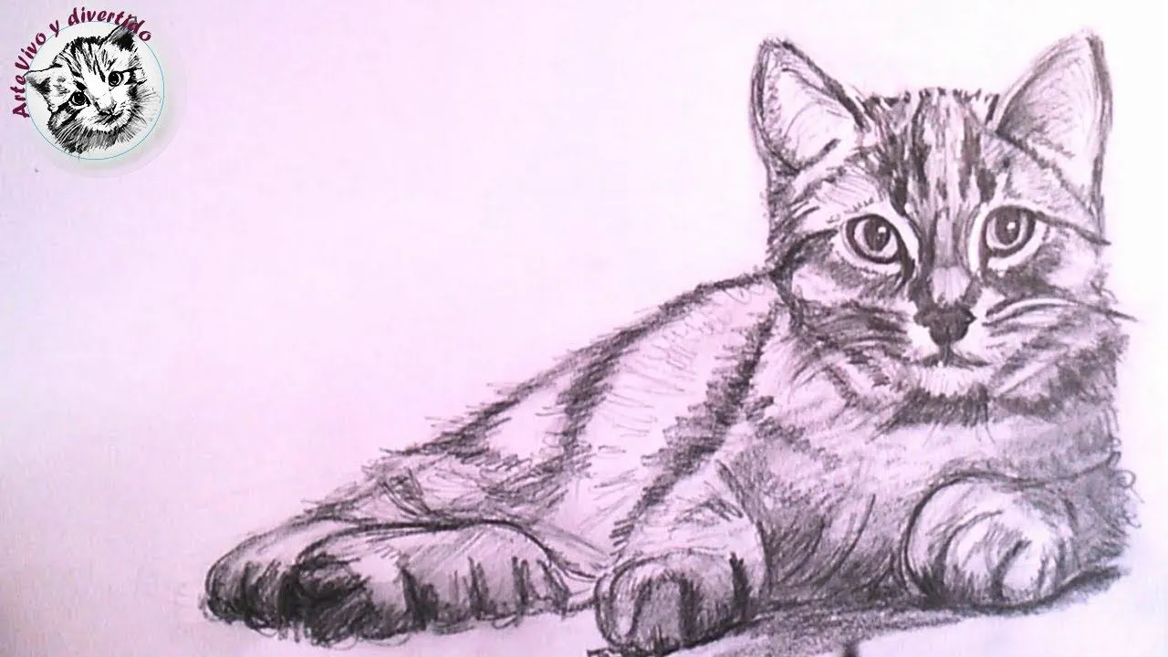 Como Dibujar un Gato Realista a Lapiz Paso a Paso - YouTube Como Dibujar un Gato Realista a Lapiz Paso a Paso - YouTube
