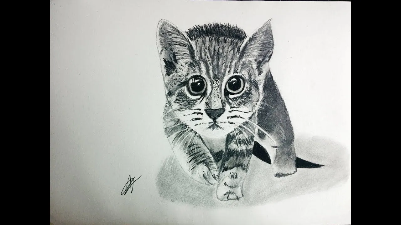 Cómo dibujar un gato realista paso a paso explicado MUY FÁCIL ... Cómo dibujar un gato realista paso a paso explicado MUY FÁCIL ...