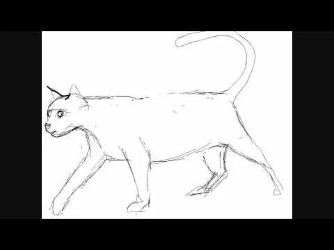 Dibujar gatos - Dibujos para Pintar - YouTube