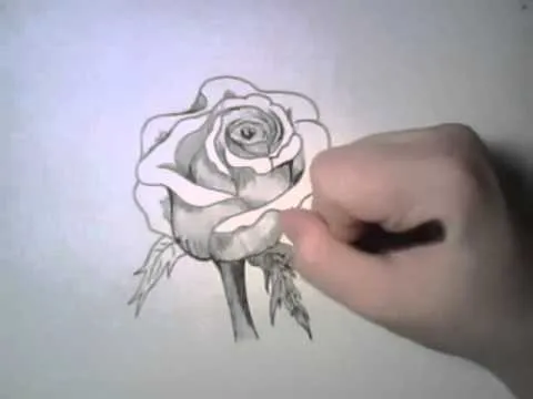 como dibujar una hermosa rosa - YouTube