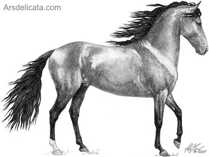 Como dibujar a lapiz un caballo - Dibujos a lapiz