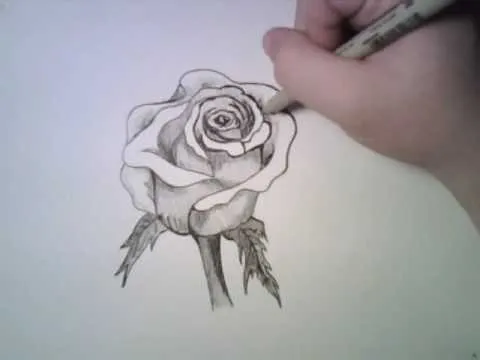 Cómo dibujar a lápiz una rosa | Dibujos a lapiz