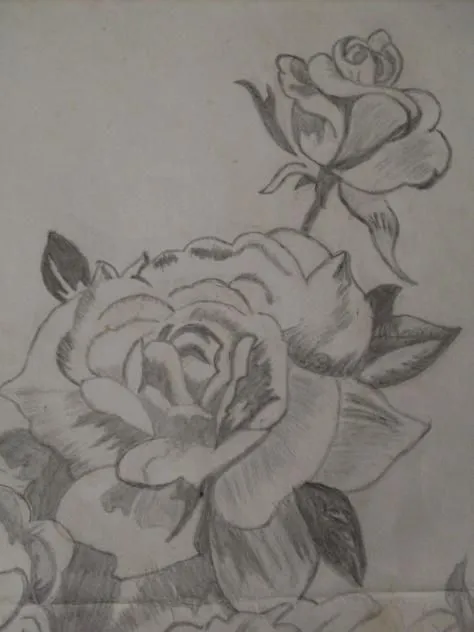 como dibujar a lapiz una rosa (2) - Dibujos a lapiz