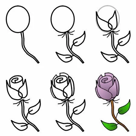 Cómo dibujar a lápiz una rosa - Dibujos a lapiz