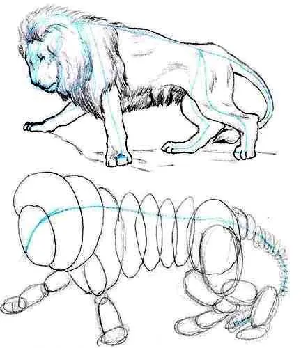 Dibujar leon - Imagui