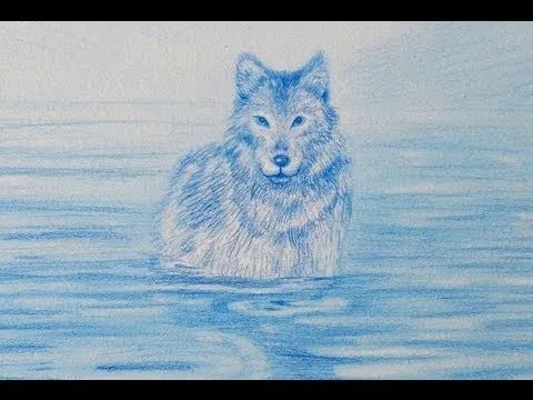 Cómo dibujar un lobo - Arte Divierte. - YouTube