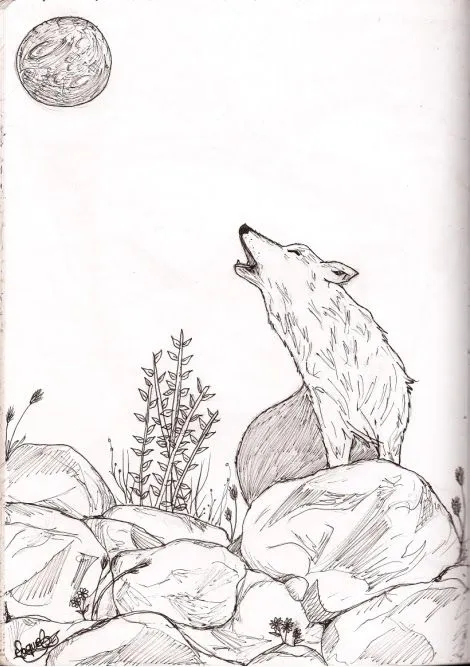 Dibujo de lobo aullando - Imagui