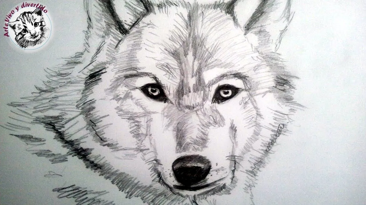 Como dibujar un lobo a lapiz, paso a paso: Como dibujar animales ...