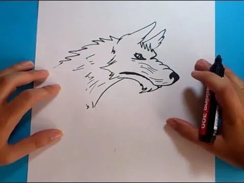 Como dibujar un lobo paso a paso 4 | How to draw a wolf 4 - YouTube