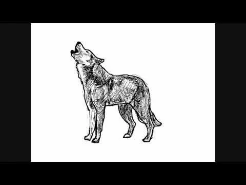 Dibujar lobos - Dibujos para Pintar - YouTube