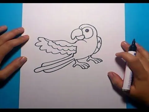 Como dibujar un loro paso a paso | How to draw a parrot - YouTube
