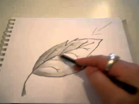 Como dibujar luces y sombras - YouTube