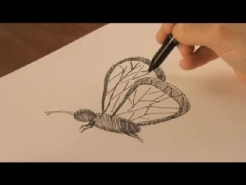 Cómo dibujar mariposas : Dibujos de la Naturaleza - YouTube