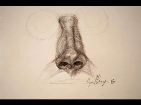 como dibujar una nariz realista con lapices de colores - YouTube