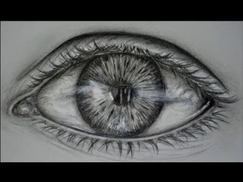 COMO DIBUJAR UN OJO FOTOREALISTA - YouTube | how to draw eyes ...