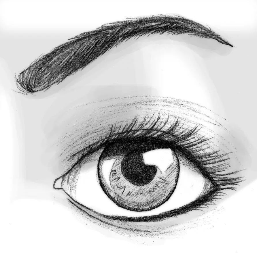 Cómo dibujar un ojo realista y PESTAÑAS!! Paso a Paso | Videos ...