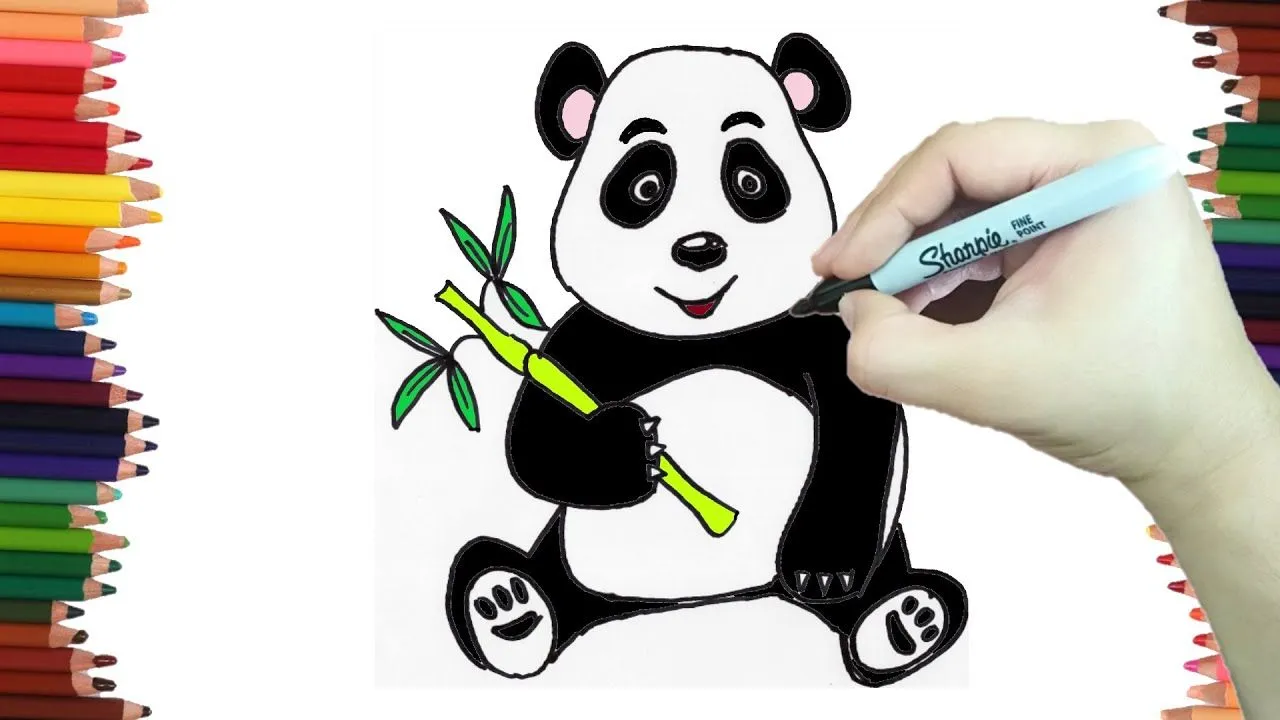 Como dibujar un OSO PANDA paso a paso y MUY FACILMENTE - Dibujos para  Colorear - YouTube