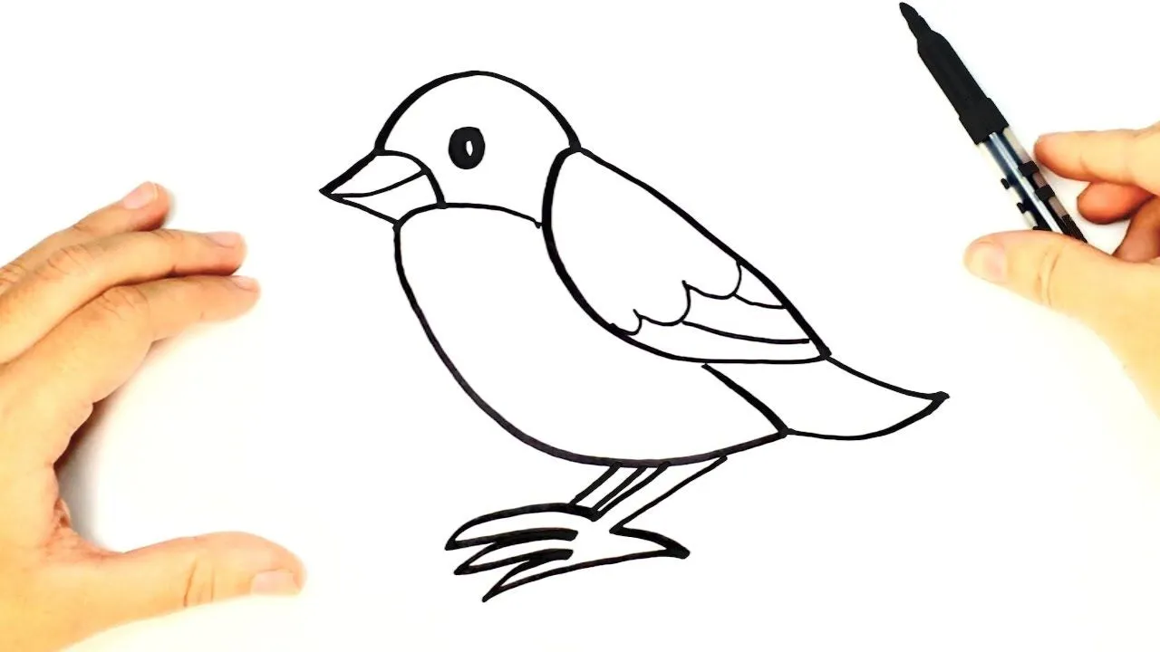Cómo dibujar un Pájaro paso a paso para niños | Dibujo de animales para  niños - YouTube