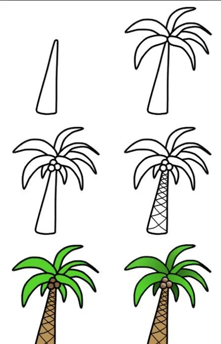 Como dibujar una palmera | Com dibuixar | Pinterest