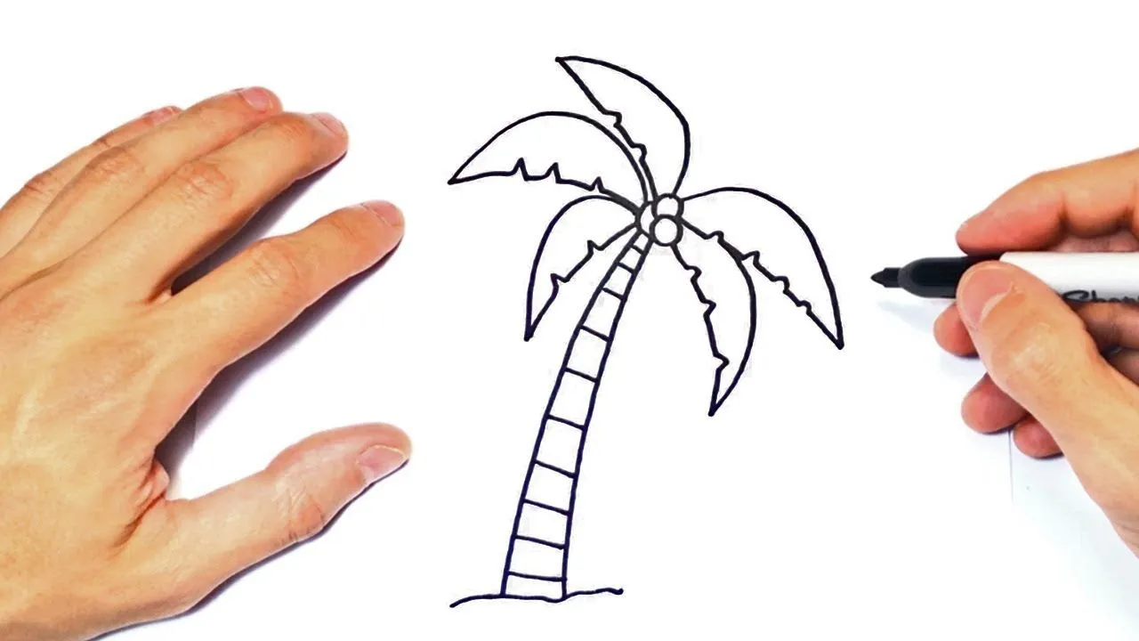 Cómo dibujar una Palmera | Dibujo Fácil de Palmera - YouTube