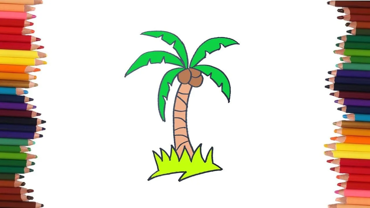 Cómo dibujar una palmera | Dibujos faciles - YouTube
