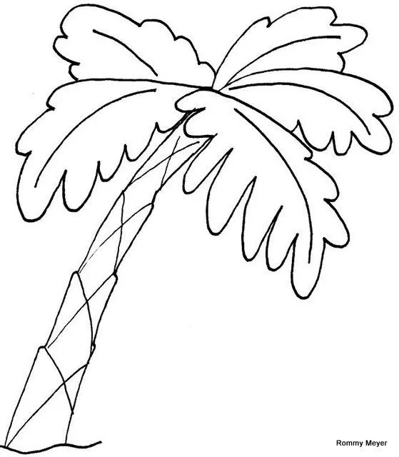 Como dibujar una palmera - Imagui