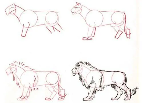 Dibujar paso a paso león | Para dibujar | Pinterest