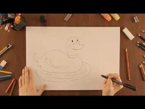 Cómo dibujar un pato : Dibujos de la Naturaleza - YouTube