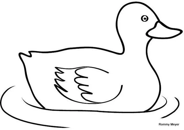 Como dibujar un pato facil - Imagui