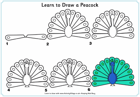 Dibujar un pavo real en 6 pasos | COMO DIBUJAR ANIMALES ...