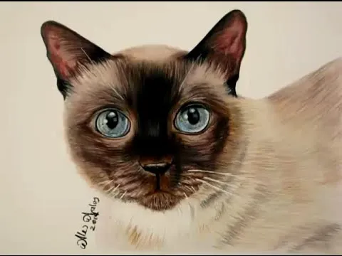 Cómo dibujar pelo de animal (Gato) / How to draw a kitten - YouTube