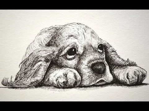 Cómo dibujar un perro cachorro y triste y tierno con marcadores ...