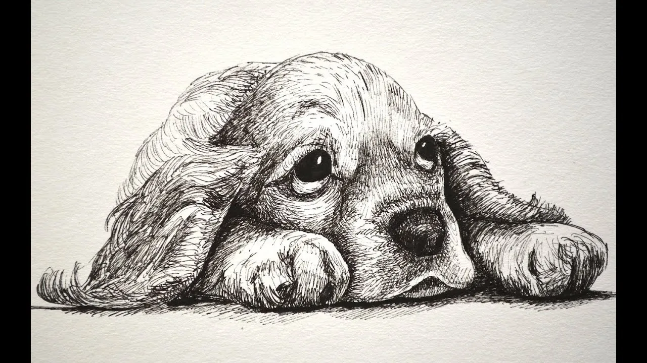Cómo dibujar un perro cachorro y triste y tierno con marcadores ... Cómo dibujar un perro cachorro y triste y tierno con marcadores ...
