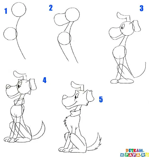 Cómo dibujar un perro? ¿Cómo dibujar animales?. Aprender a dibujar